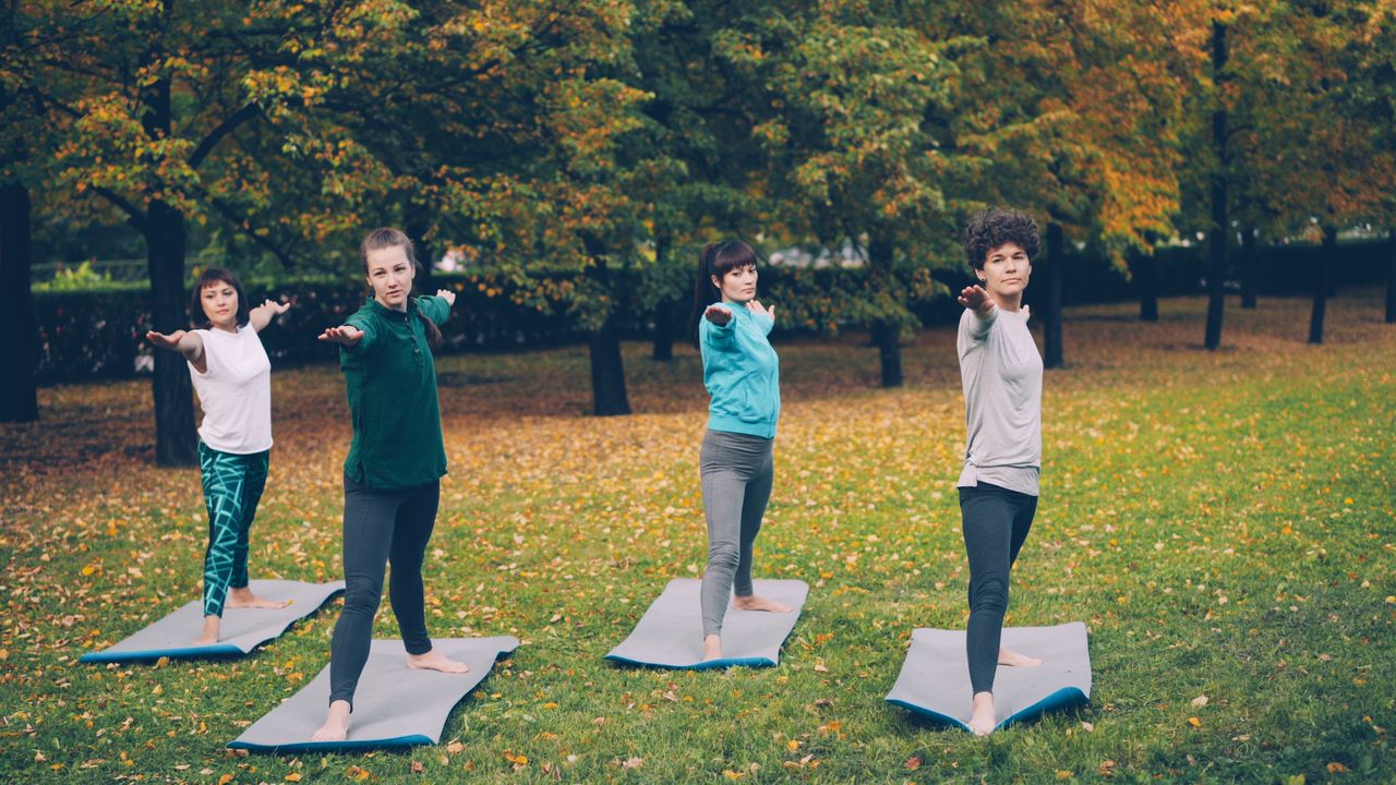 services-02 Four adults practicing yoga on mats outdoors in a scenic autumn park setting.